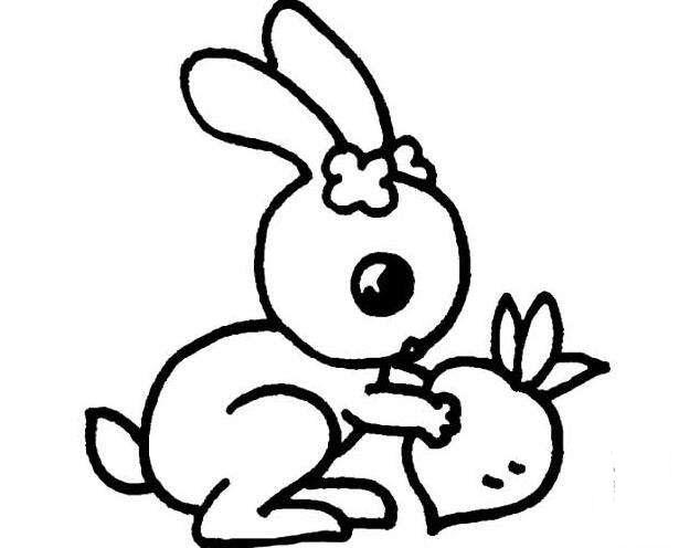 兔子人物图片简笔画（高清简笔画兔子照片）(5)