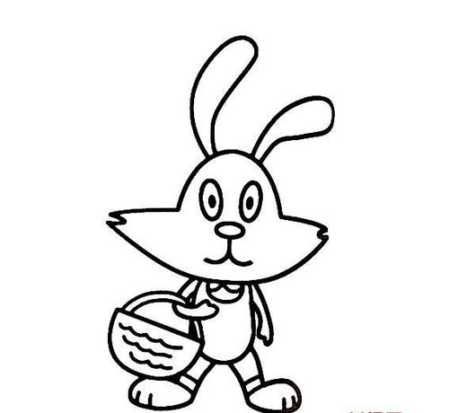 兔子人物图片简笔画（高清简笔画兔子照片）(6)