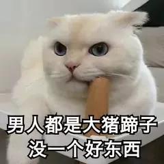 大猪蹄子是什么意思（大猪蹄子什么梗为什么男人被称为）(3)