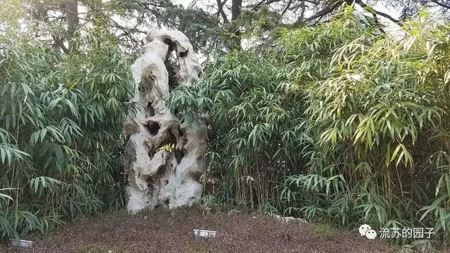 趵突泉在哪里个城市（这就是山东你知道趵突泉的九香吗）(35)