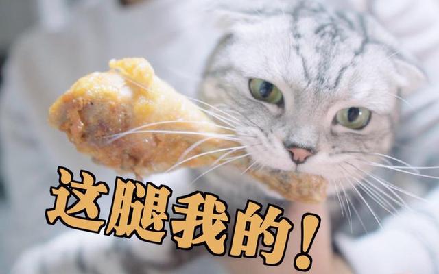 猫咪能吃火腿肠吗（这八种食物喂食猫咪）(8)