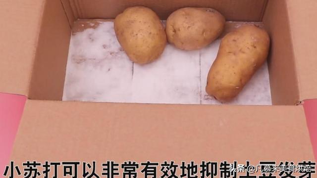 土豆能放冰箱存放吗（土豆为什么不能放冰箱）(4)