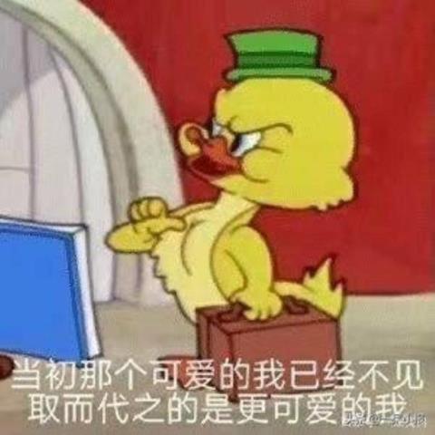 关于生日的脱口秀段子