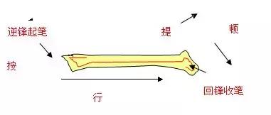 毛笔书法基础入门（毛笔书法字体入门基础教程）