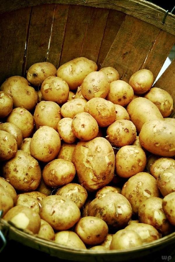 发芽后的土豆到底还能吃吗(2)