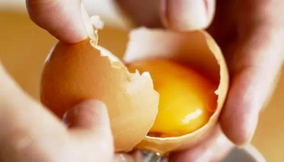 孩子每天应该吃多少鸡蛋(3)