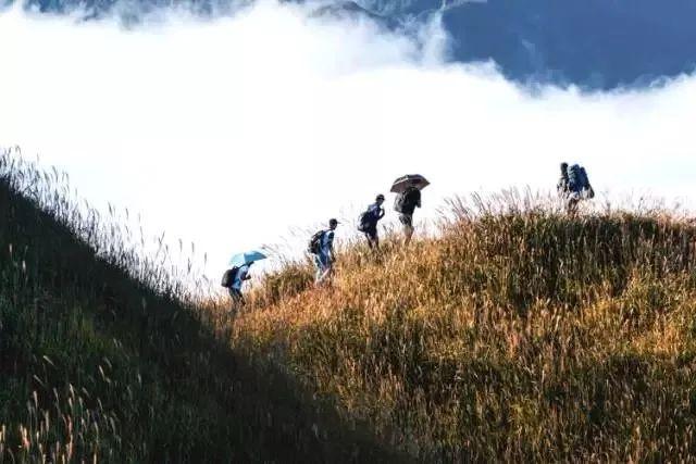 重阳节有哪些风俗（最全的重阳节习俗）(3)