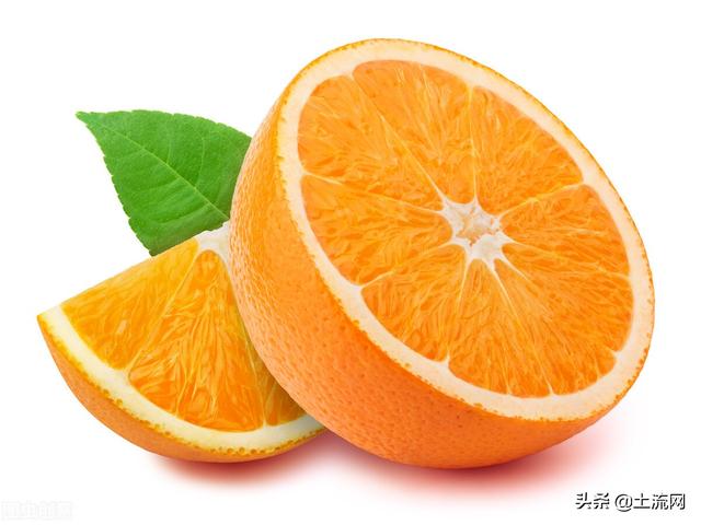 橙子和橘子有什么区别（橙子是什么水果杂交出来的）(1)