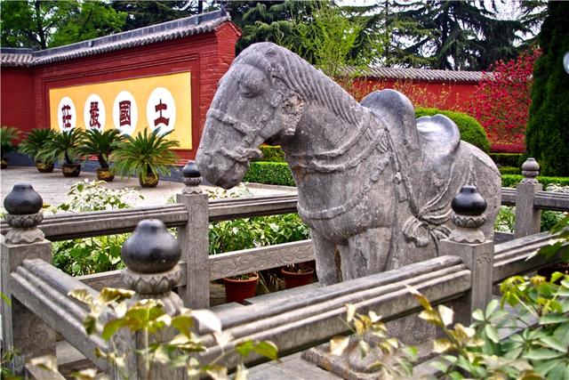 白马寺在哪个地区（中国第一古刹洛阳白马寺）(3)