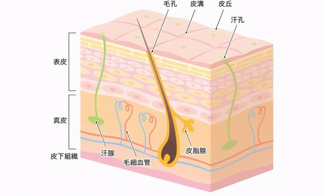 面膜多久敷一次才好(3)