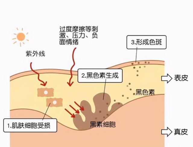 面膜多久敷一次才好(10)