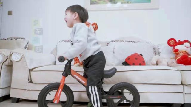 儿童自行车哪个品牌好（童车行业十大品牌）(5)