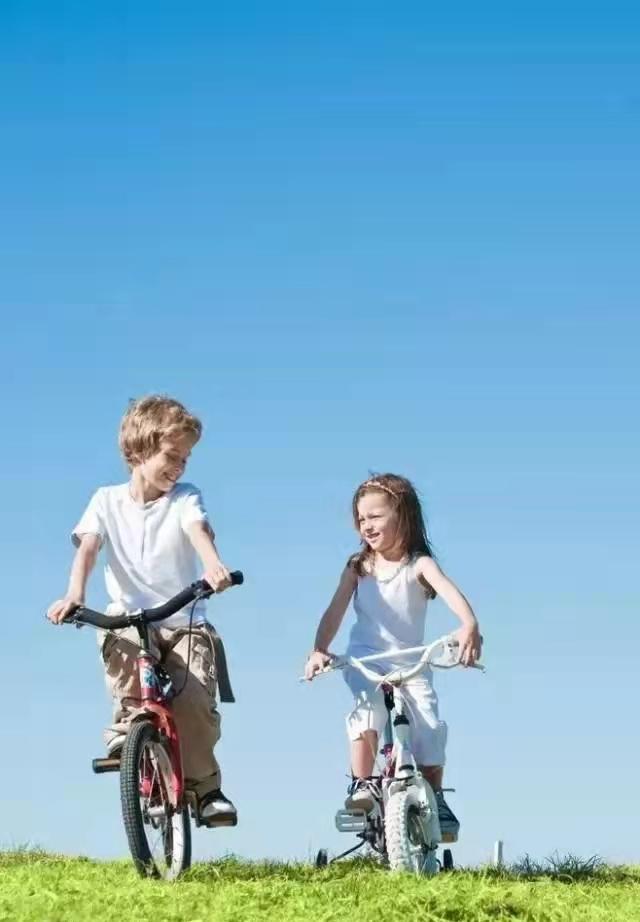 儿童自行车哪个品牌好（童车行业十大品牌）(6)