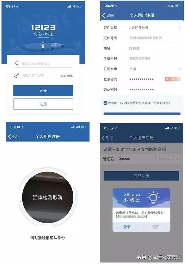 个人车辆信息查询系统（使用交管12123办理业务全攻略）(8)