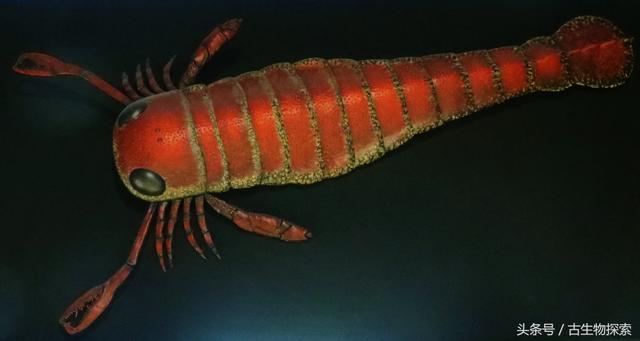 世界上最大的蝎子（4亿年前的海洋中生活着和人一样大的）(3)