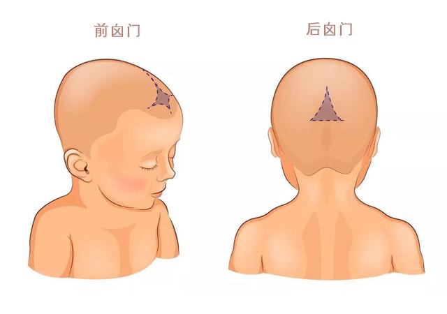 婴儿卤门凹陷图片（宝宝的囟门暗示宝宝的发育状况）(2)