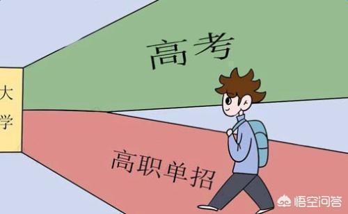 单考单招是什么意思（为什么高考还没考就有老师叫学生单招）(2)