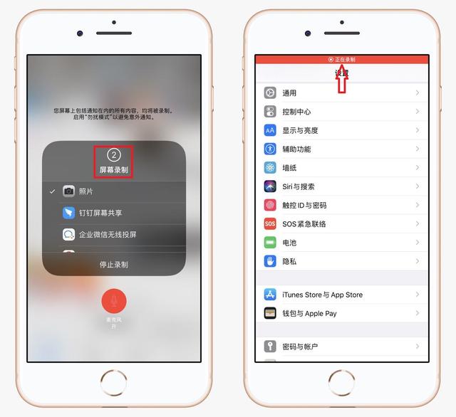 苹果录屏怎么设置（原来苹果手机自带录屏功能）(5)