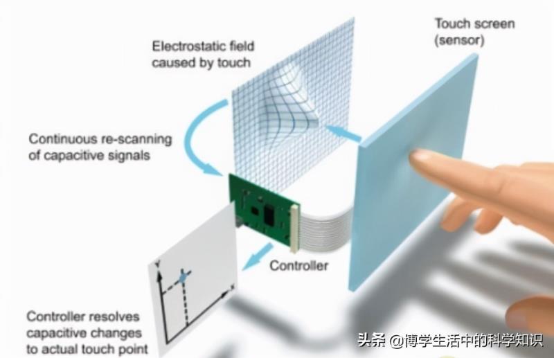 鼠标结构分析（鼠标的结构图和工作原理）(12)