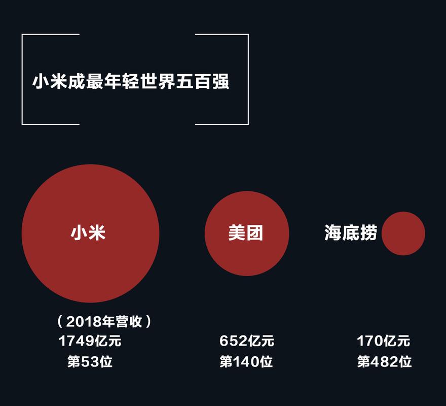 小米公司是世界500强企业吗排名第几（小米公司是世界500强企业吗排名第几）