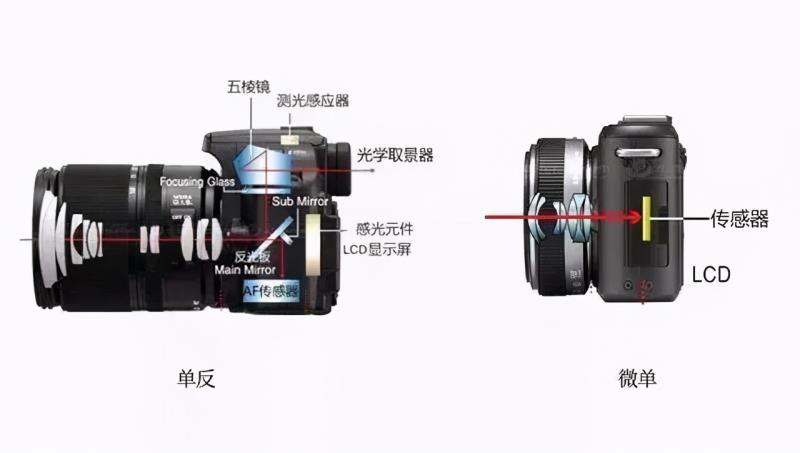 微单和单反的区别是什么（微单和单反的区别介绍）(2)