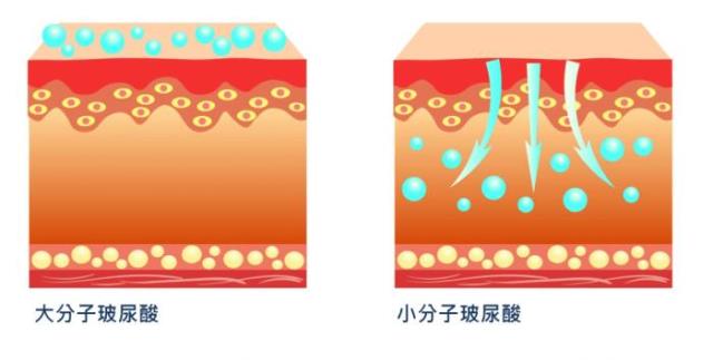 玻尿酸的作用与危害（你应该知道的玻尿酸常识）(7)