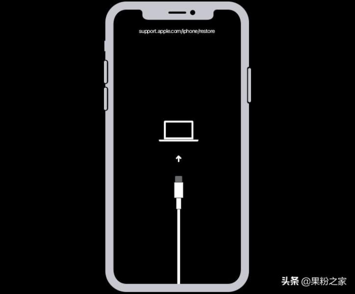 iphonex恢复模式怎么进（iphone已停用解锁教程）(7)