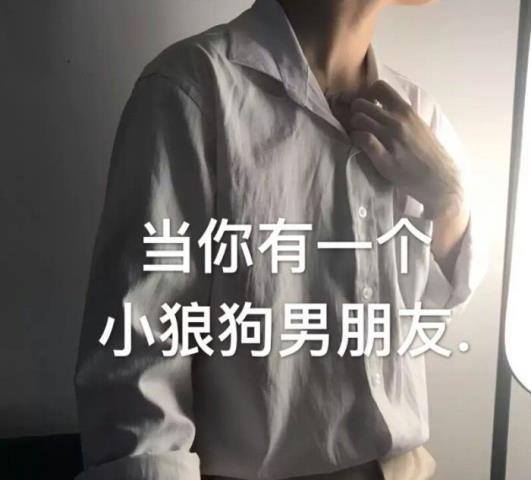 小狼狗男友语录，当你有一个小狼狗男朋友(1)