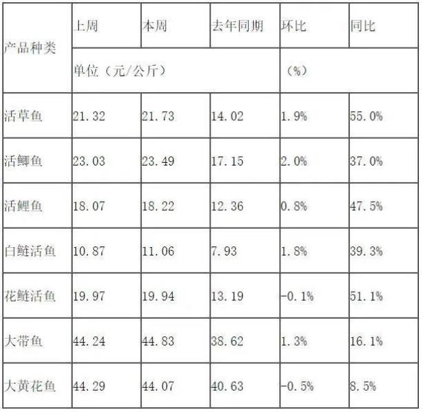 鲫鱼多少钱(济南鲫鱼多少钱一斤)(2)