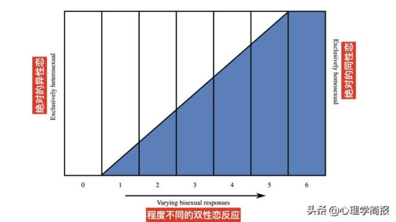 性取向心理测试（权威性取向心理测试金赛量表）(5)