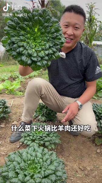 男子放弃5万月薪回家种菜吸粉百万（在那里可以尽情释放激情）(7)