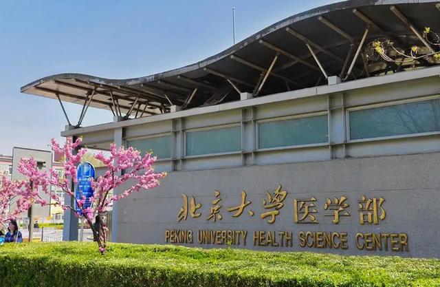 学医的大学排名