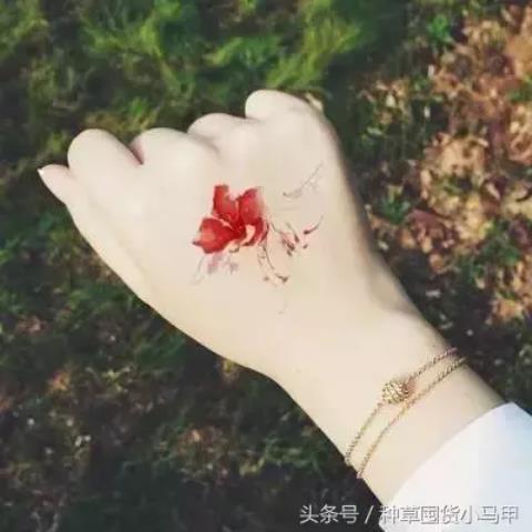 有故事的女人是不是很吸引人 为什么有故事的姑娘更撩人(4)