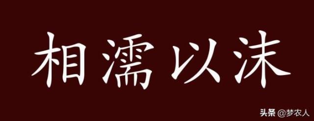 相濡以沫什么意思（相濡以沫的出处、释义、典故）(1)