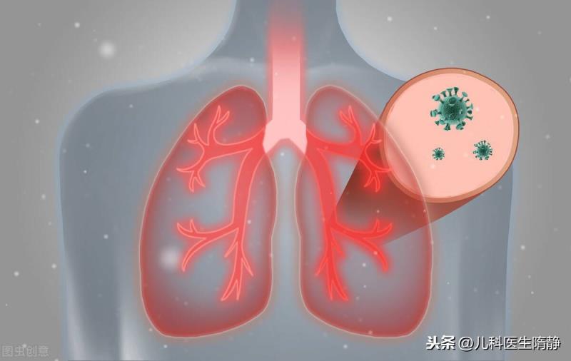哪里是气管(气管和肺的连接处叫什么)(1)