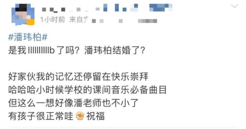 潘玮柏老婆个人资料（潘玮柏的最美空姐老婆宣云）(7)