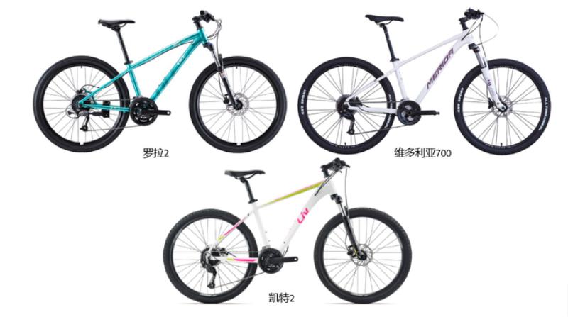 国产山地自行车品牌排行（儿童最好的自行车品牌排行）(61)