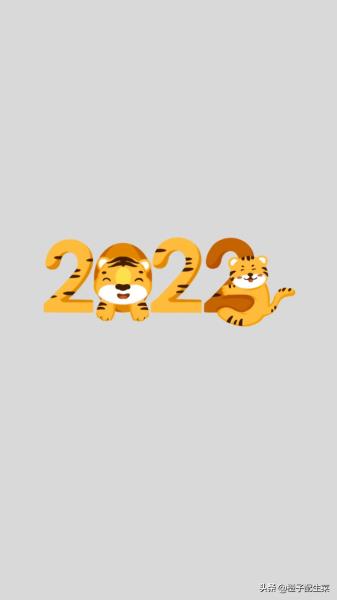 数字背景推荐（2022虎年数字背景）(5)