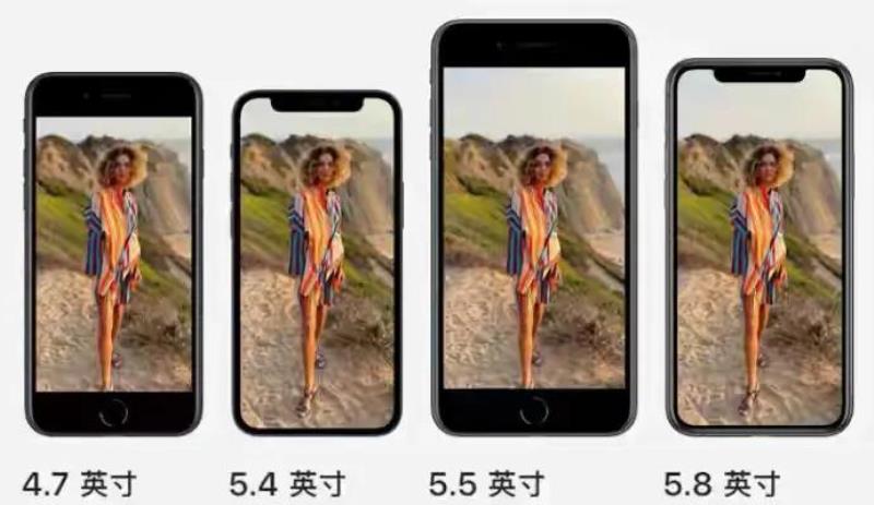 iphonex多长（iphone尺寸对比）(3)