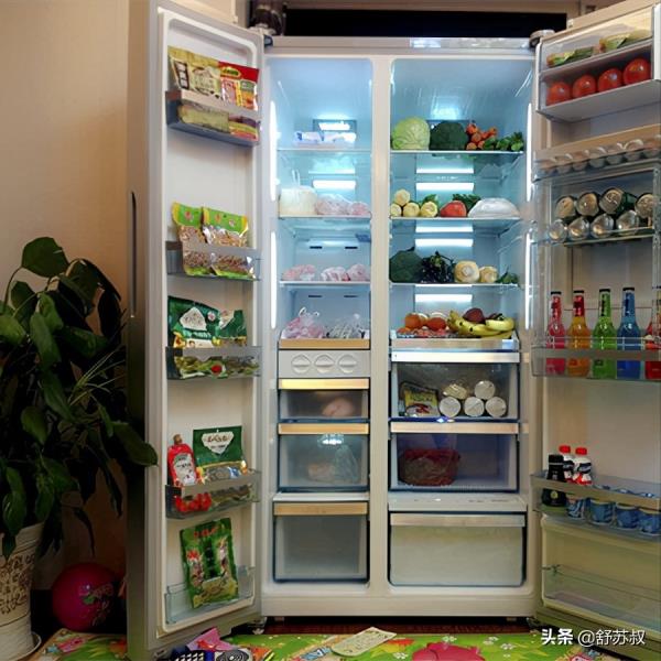 博世冰箱质量怎么样（ 博世冰箱特点介绍）(1)