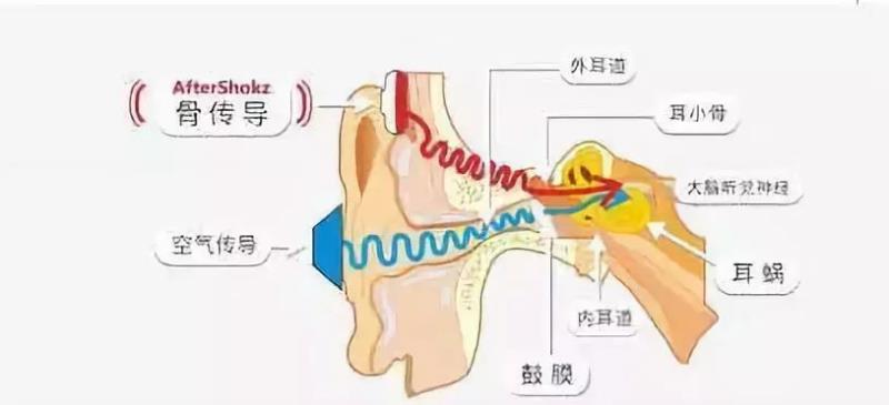 耳机一边大声一边小声怎么调（耳机声音一大一小调整方法）(5)