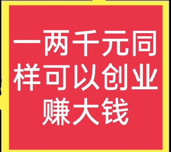 没本钱干什么挣钱快（5千元以下投资小项目）(1)