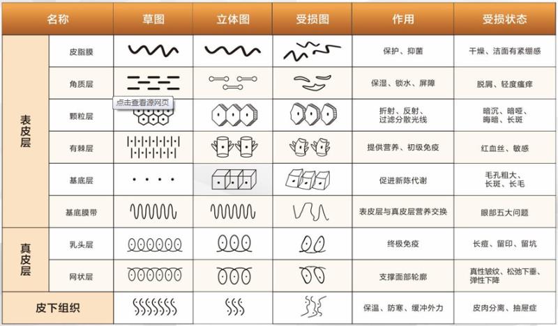 碧欧泉护肤品属于什么档次（碧欧泉男士护肤品）(9)