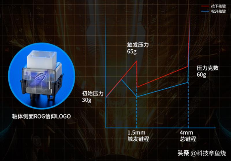 cherry青轴多少钱一个（cherry青轴参数）(6)