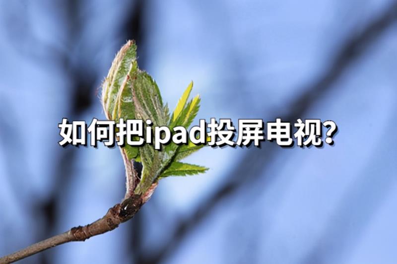 苹果ipad能投屏吗（电视和ipad共享屏幕的方法）(1)