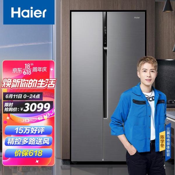海尔家用冰柜哪个型号（海尔冰柜型号一览表）(39)