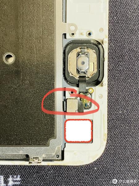 iphone按键失灵（苹果home键失灵修复方法）(16)