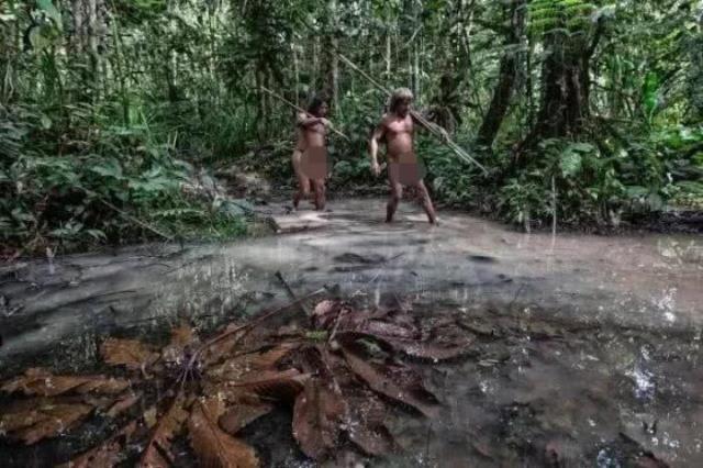 亚马逊雨林食人族（亚马逊雨林瓦奥拉尼部落）(1)