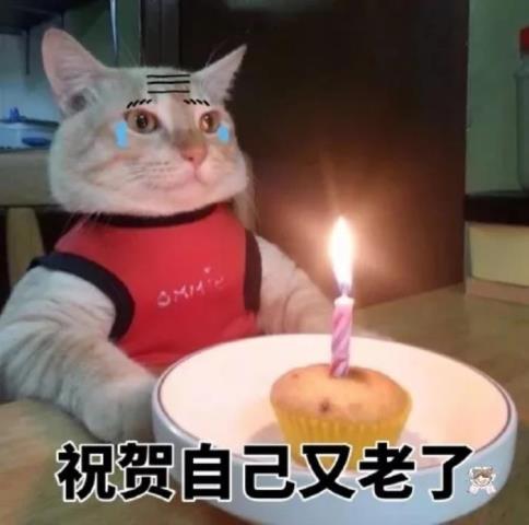 自己生日（适合自己过生日的文案生日）(3)