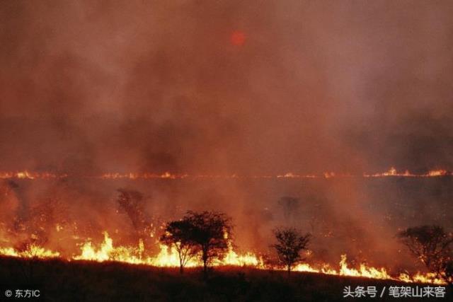 对付领导狠招（震慑不称职领导的7种狠招）(5)